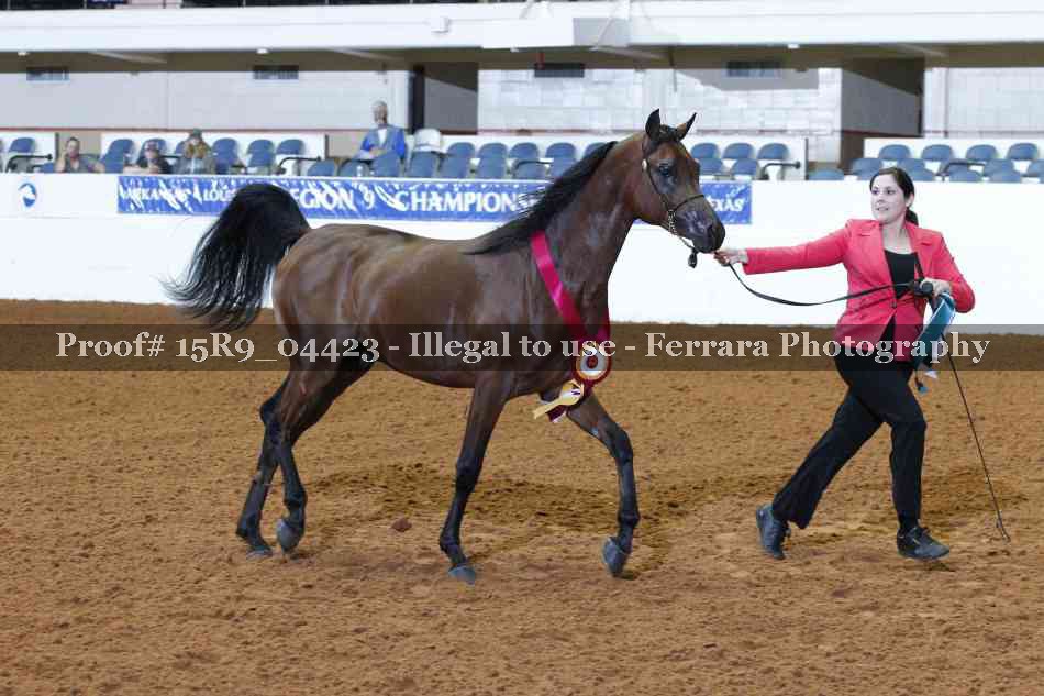 Proof 15R9_04423