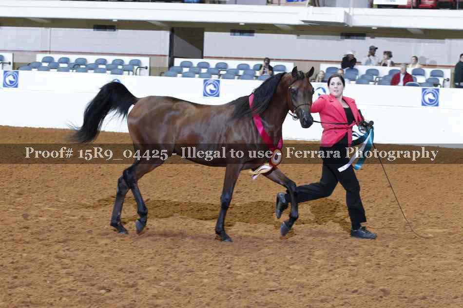 Proof 15R9_04425
