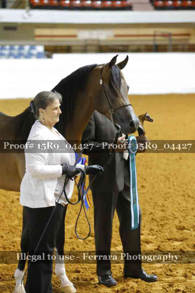 Proof 15R9_04427