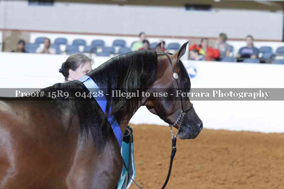 Proof 15R9_04428