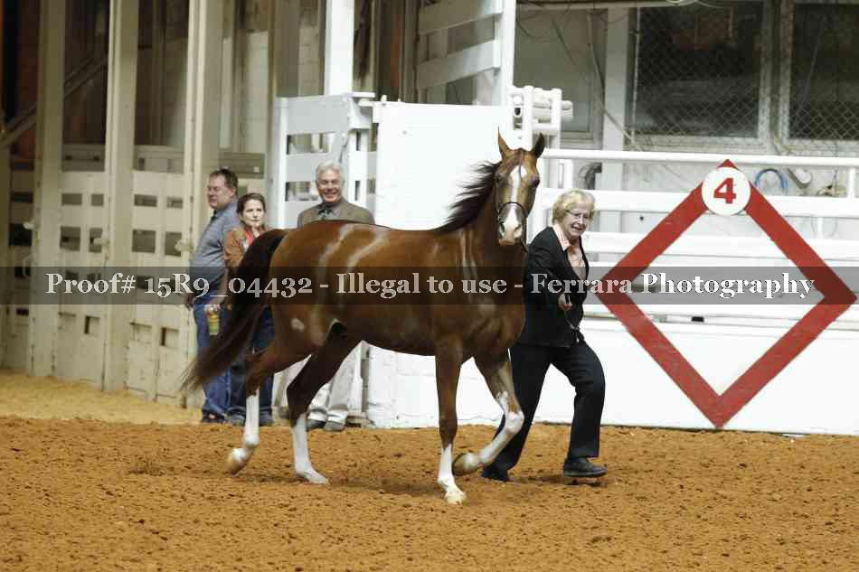 Proof 15R9_04432