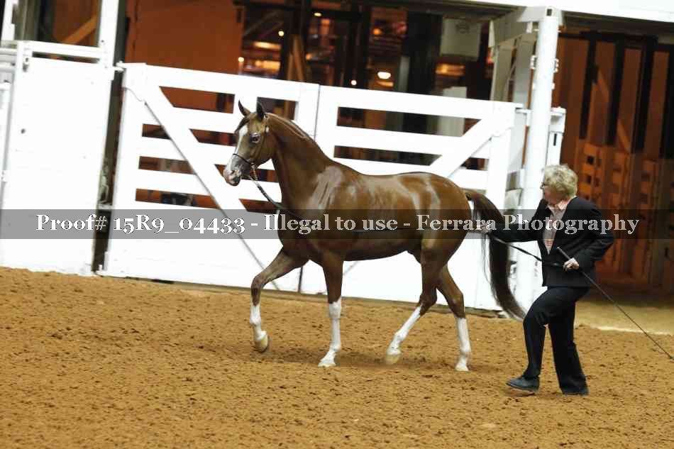 Proof 15R9_04433