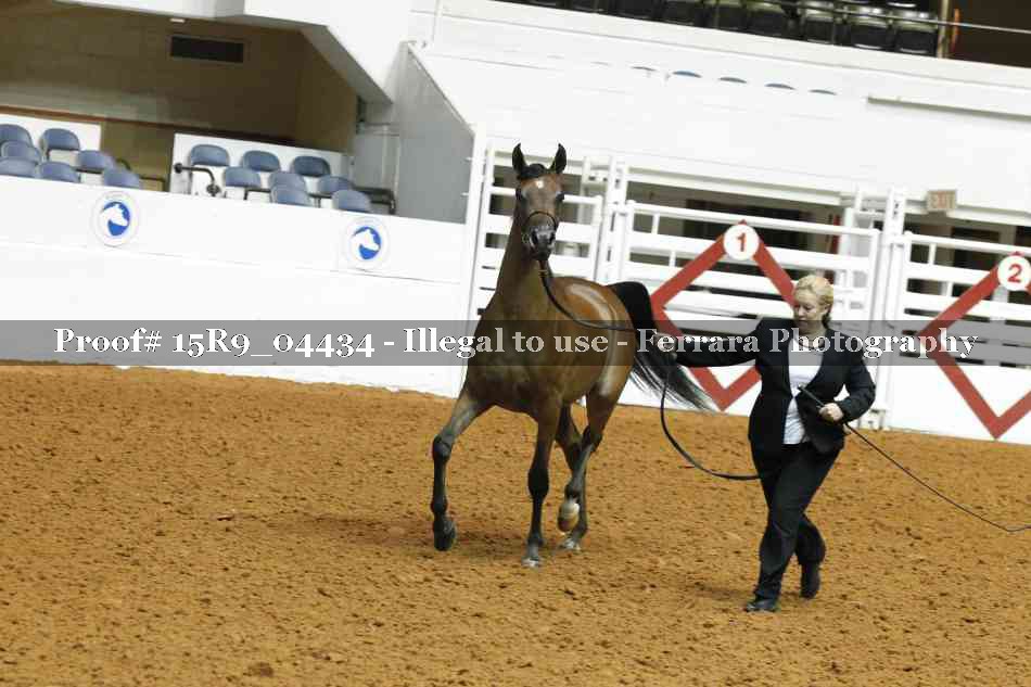 Proof 15R9_04434