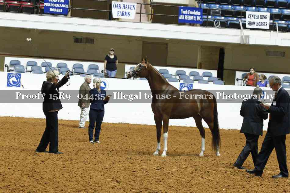 Proof 15R9_04435