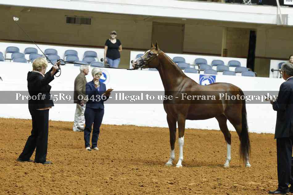 Proof 15R9_04436