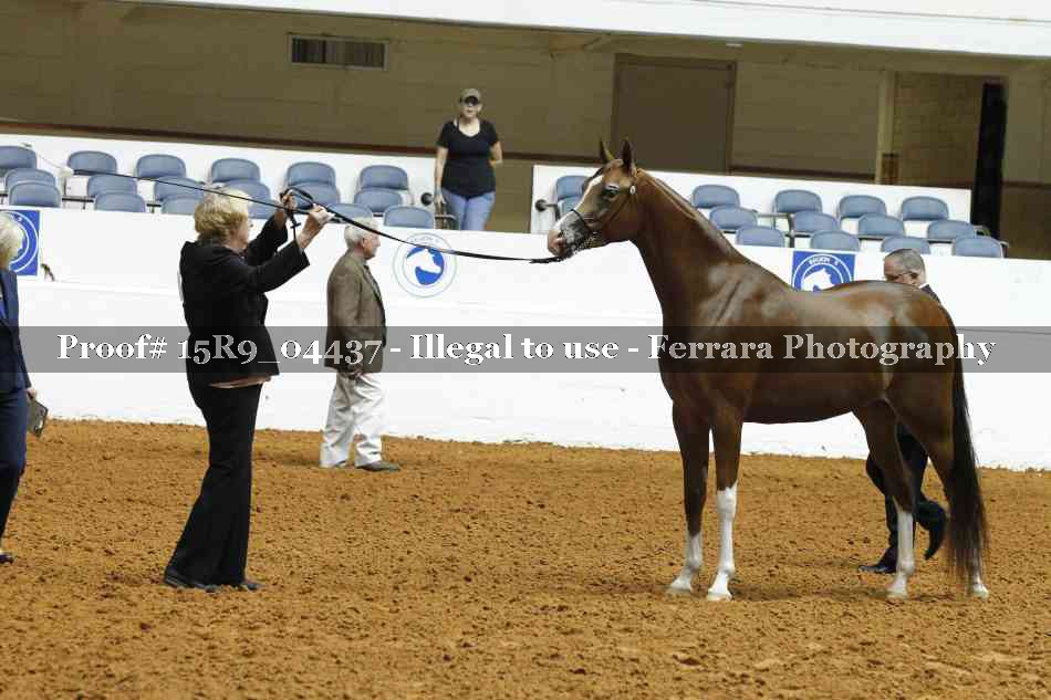 Proof 15R9_04437