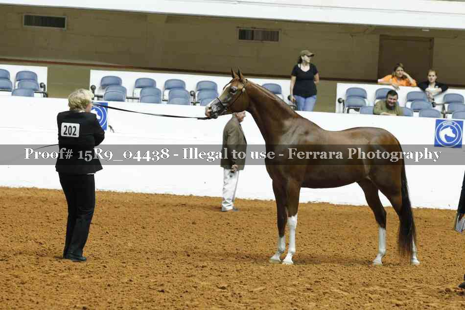 Proof 15R9_04438