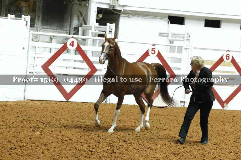 Proof 15R9_04439