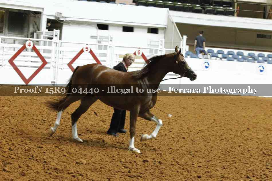 Proof 15R9_04440