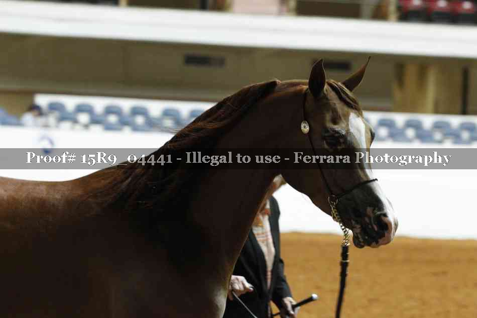 Proof 15R9_04441