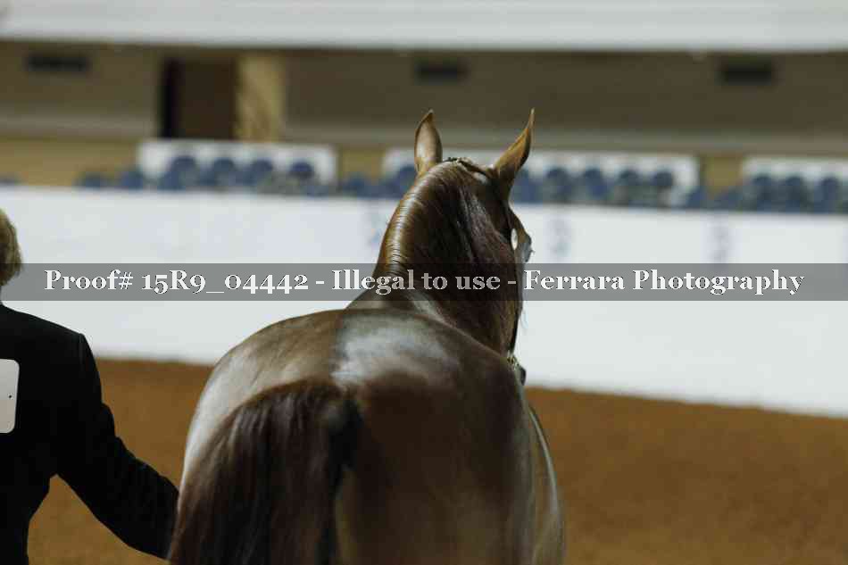 Proof 15R9_04442