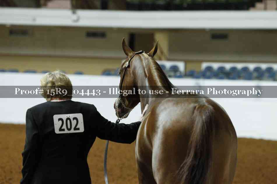 Proof 15R9_04443
