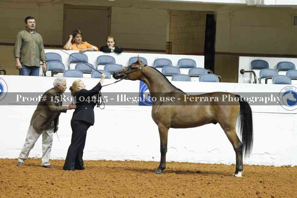 Proof 15R9_04445