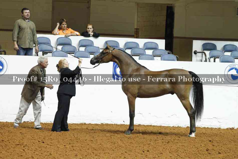 Proof 15R9_04446