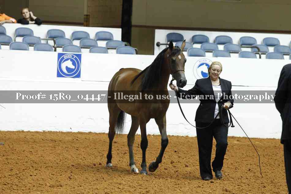 Proof 15R9_04447