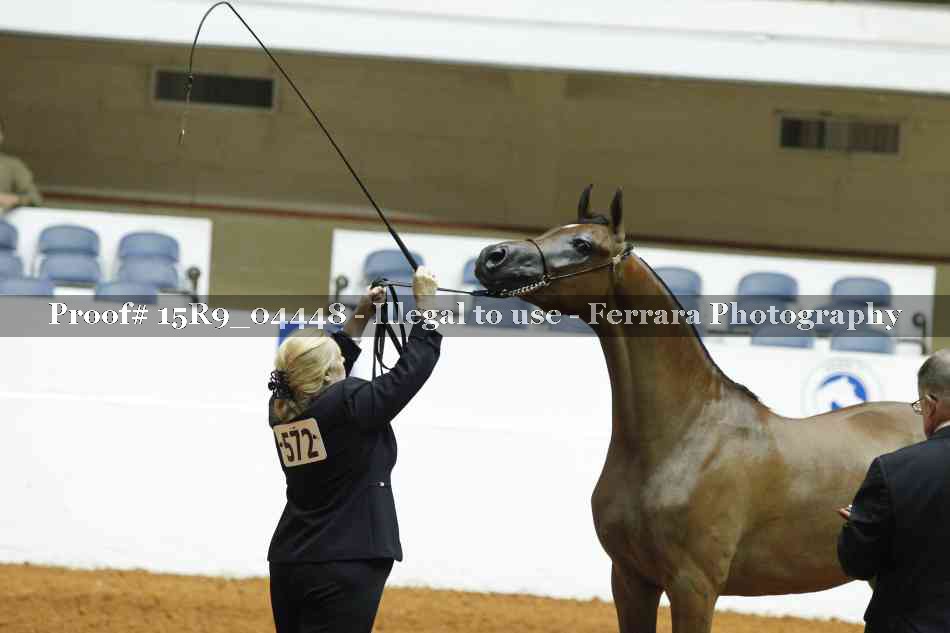 Proof 15R9_04448