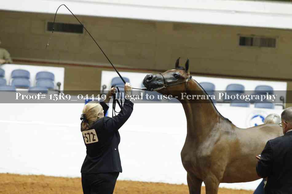 Proof 15R9_04449