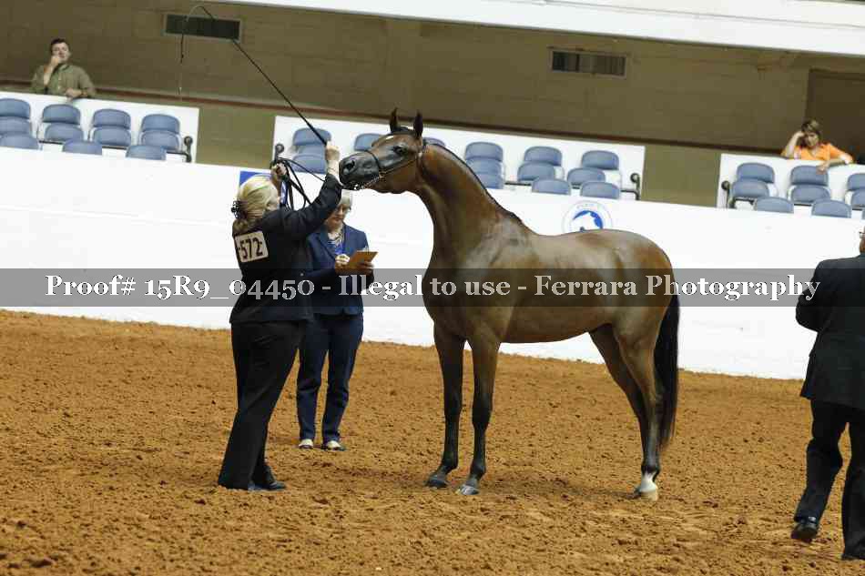 Proof 15R9_04450