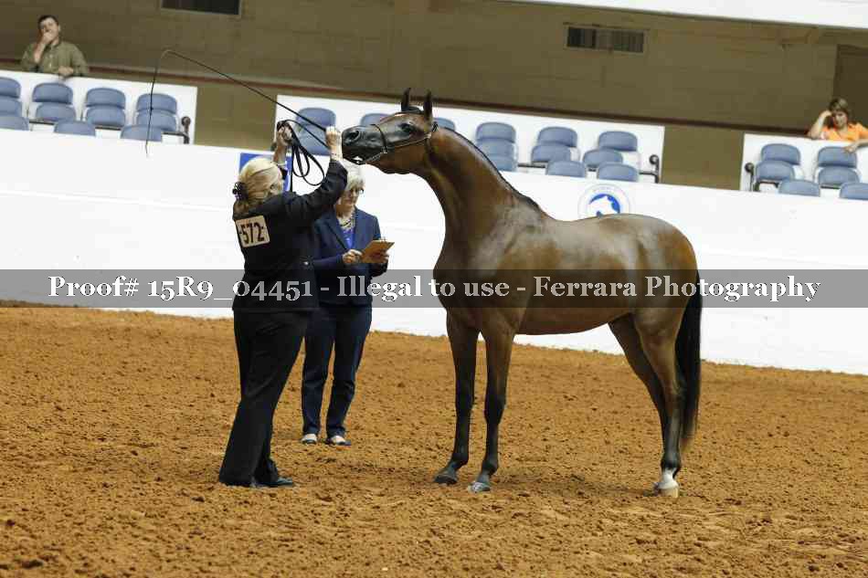 Proof 15R9_04451