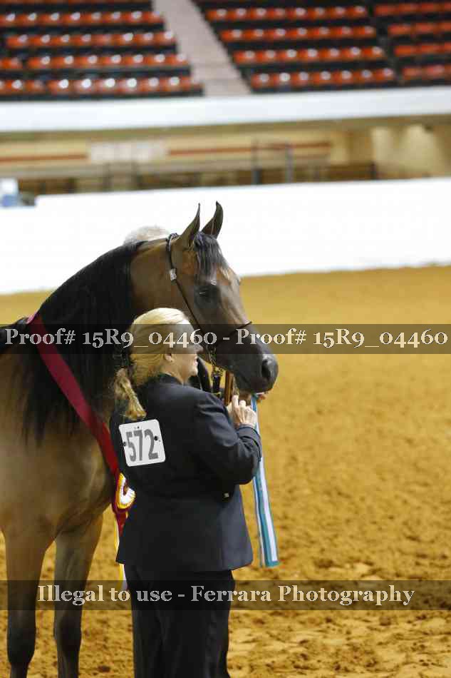 Proof 15R9_04460