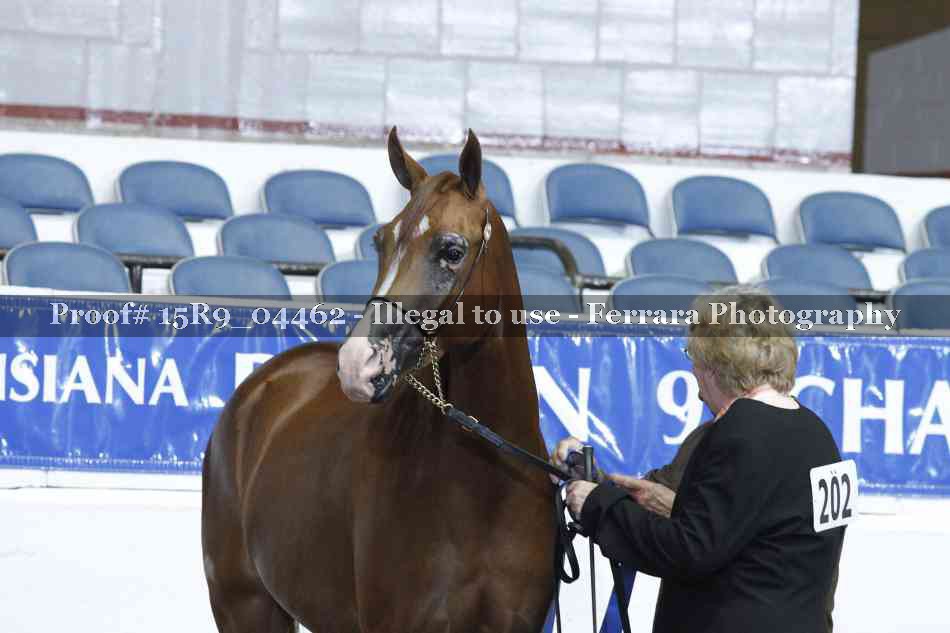 Proof 15R9_04462