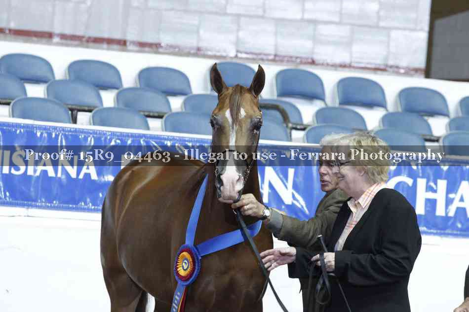 Proof 15R9_04463