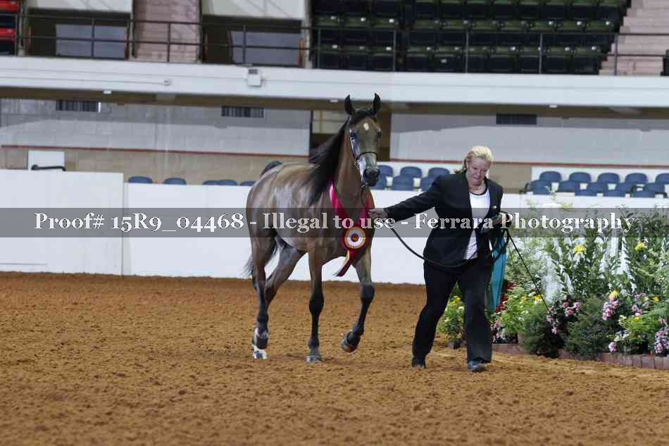 Proof 15R9_04468