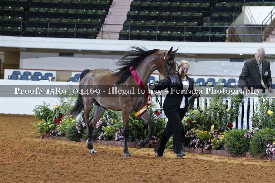 Proof 15R9_04469