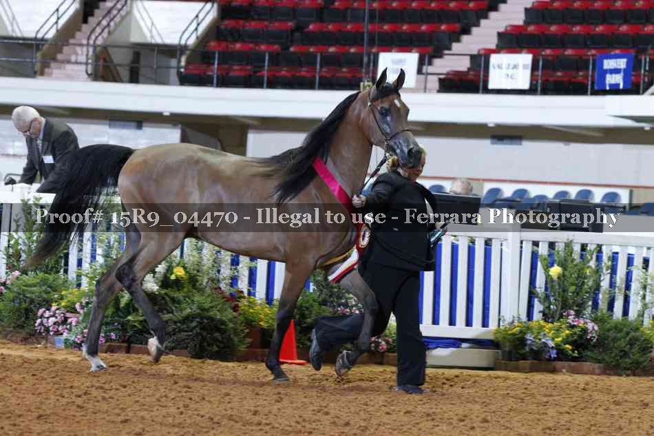 Proof 15R9_04470