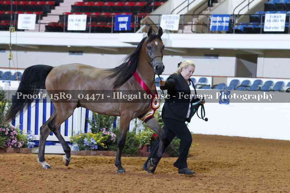 Proof 15R9_04471