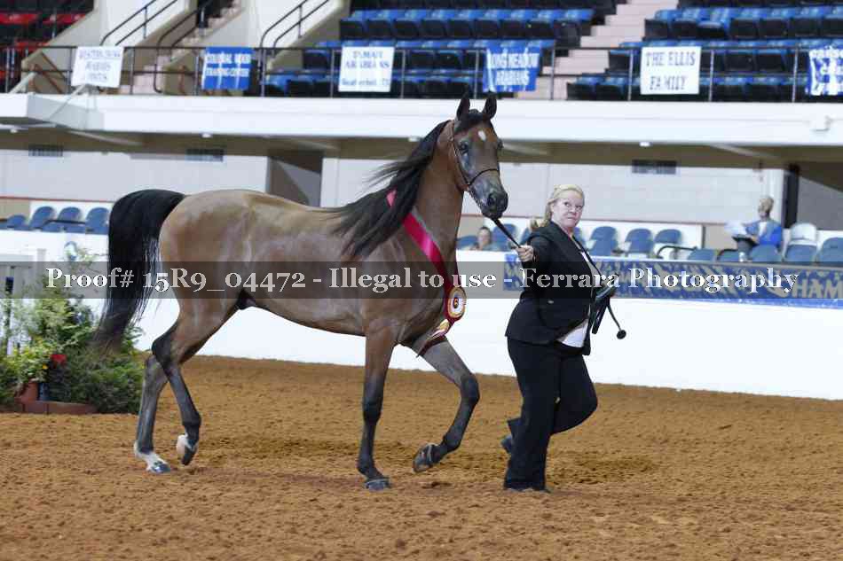 Proof 15R9_04472