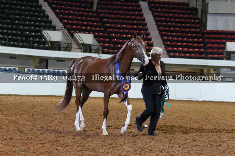 Proof 15R9_04473