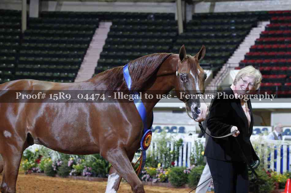Proof 15R9_04474