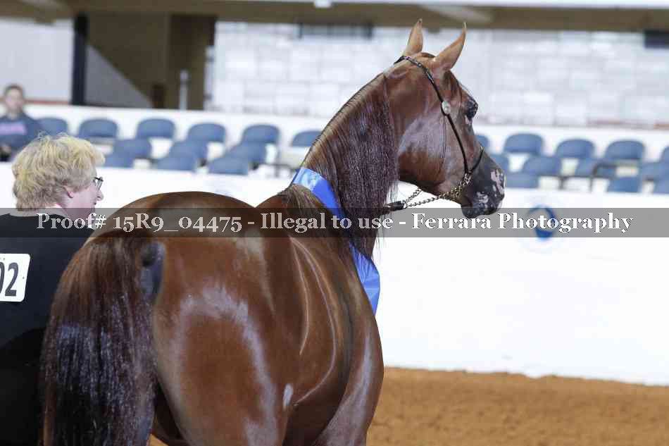 Proof 15R9_04475