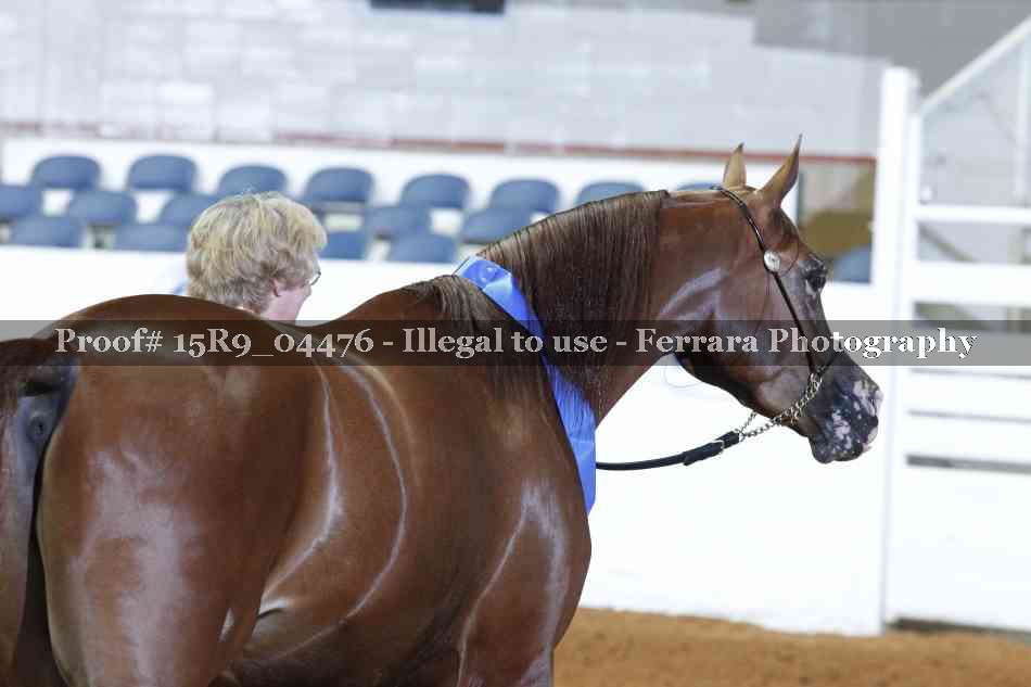 Proof 15R9_04476