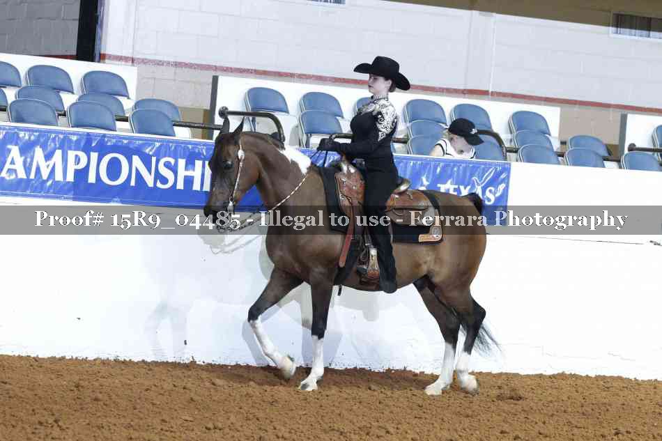Proof 15R9_04485