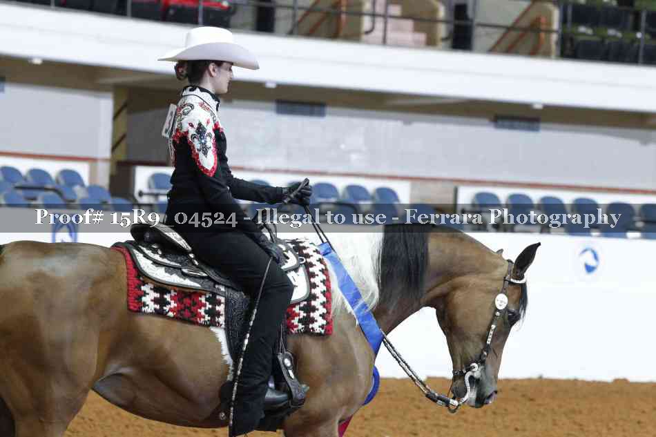 Proof 15R9_04524