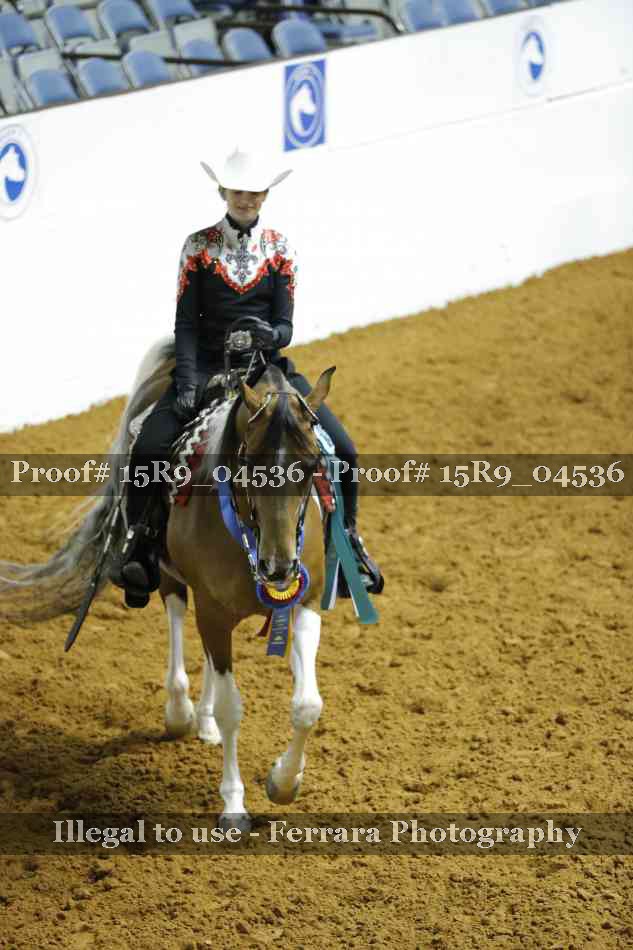 Proof 15R9_04536