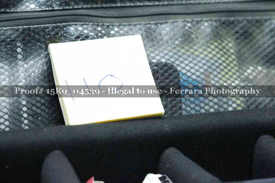 Proof 15R9_04539