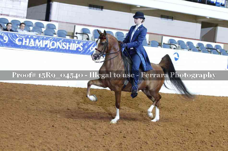 Proof 15R9_04540
