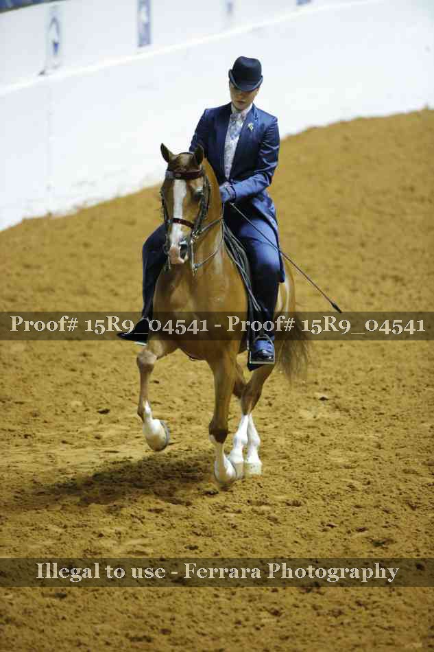 Proof 15R9_04541