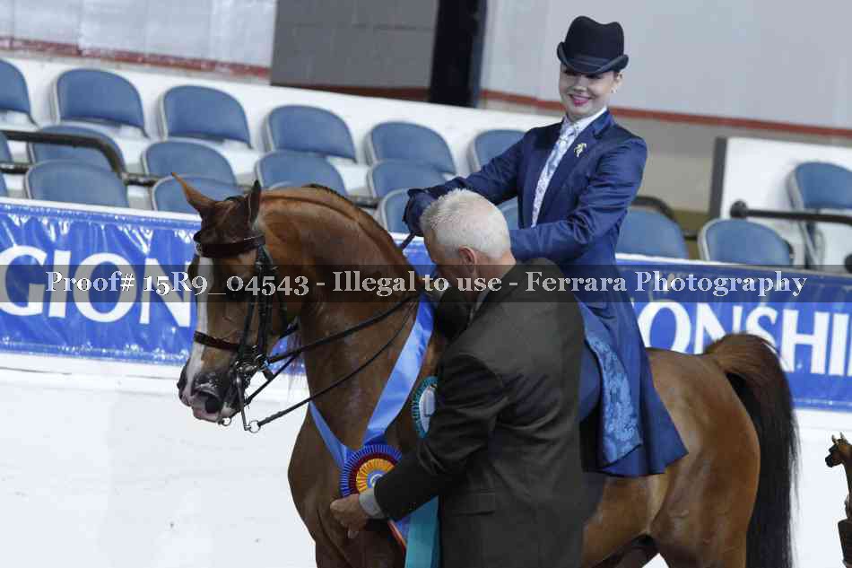 Proof 15R9_04543