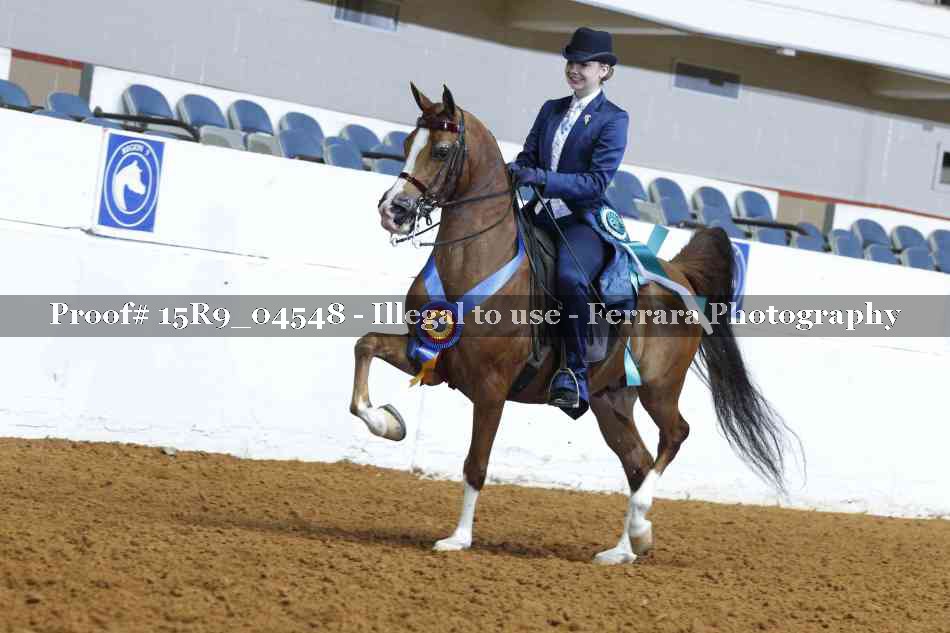 Proof 15R9_04548