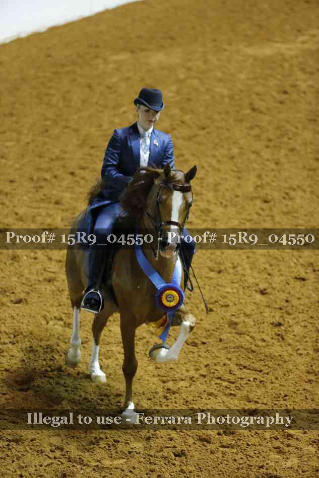Proof 15R9_04550