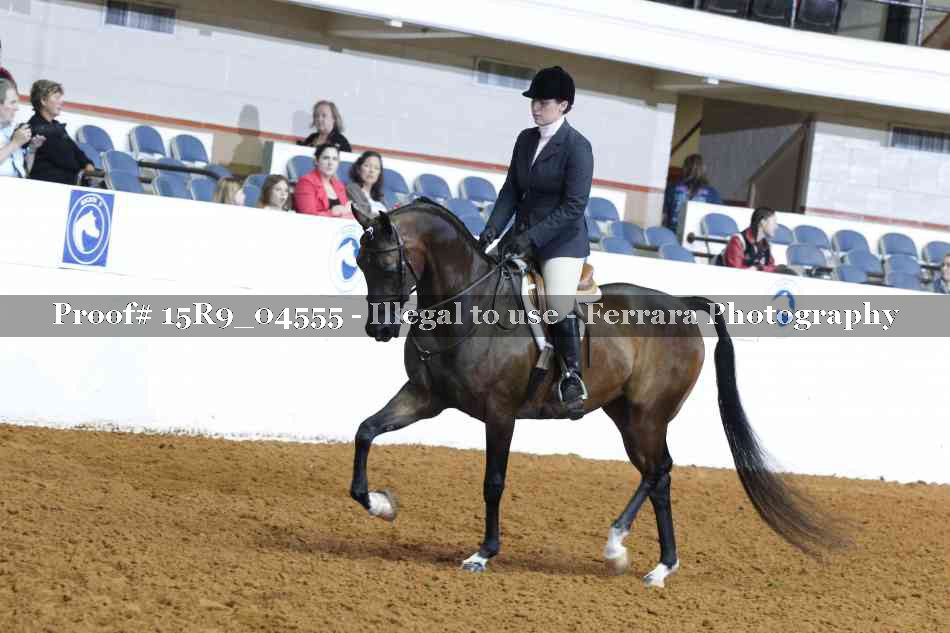 Proof 15R9_04555