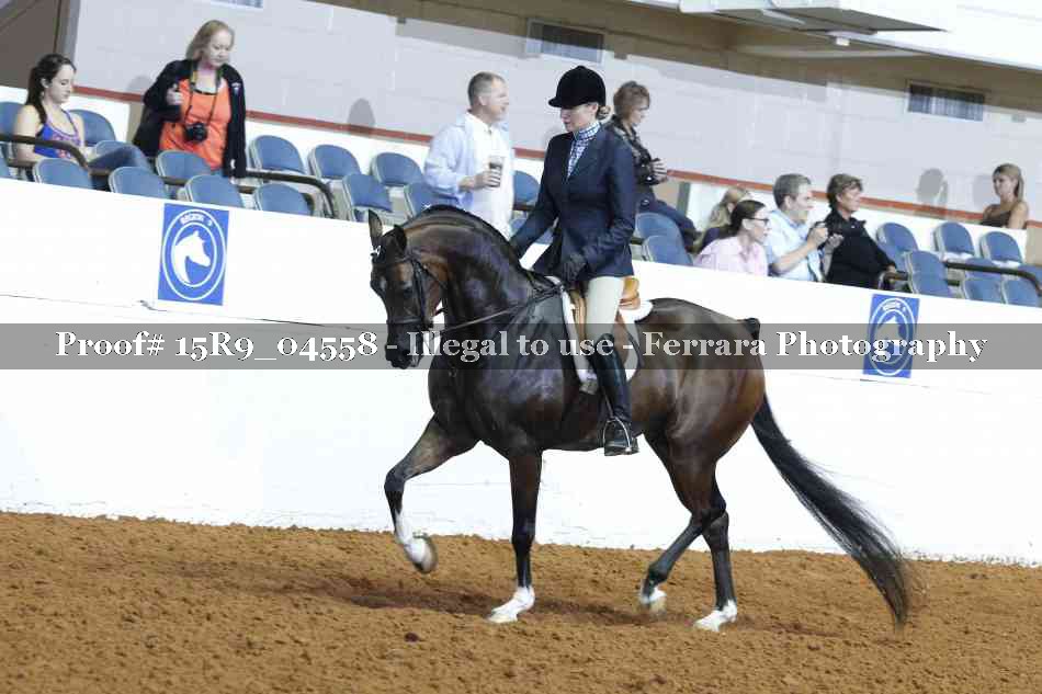 Proof 15R9_04558