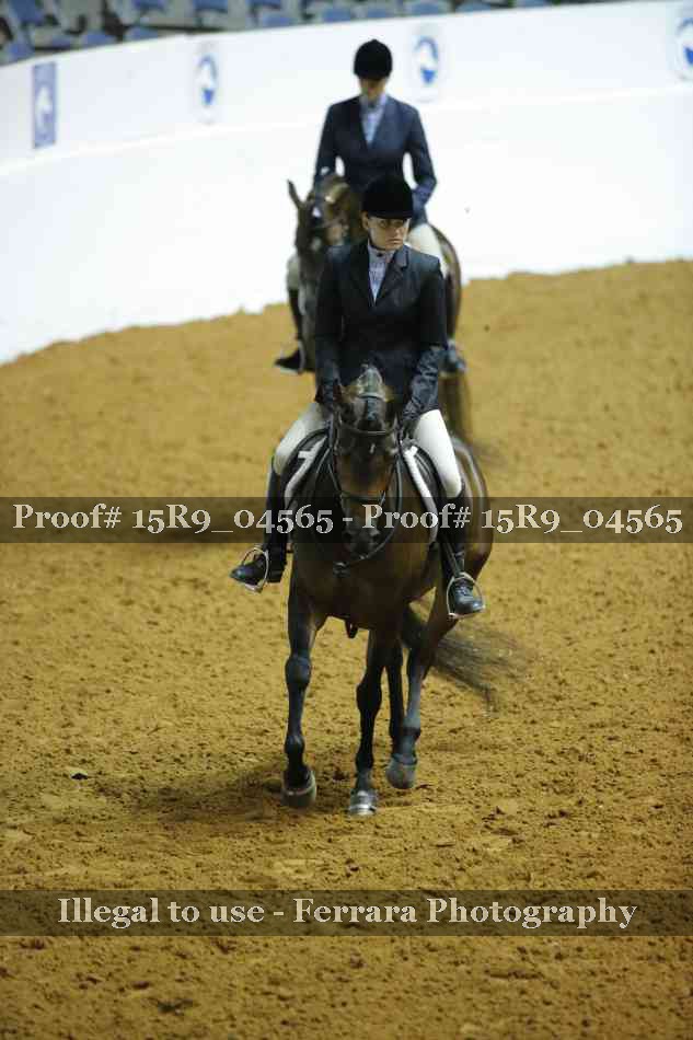 Proof 15R9_04565
