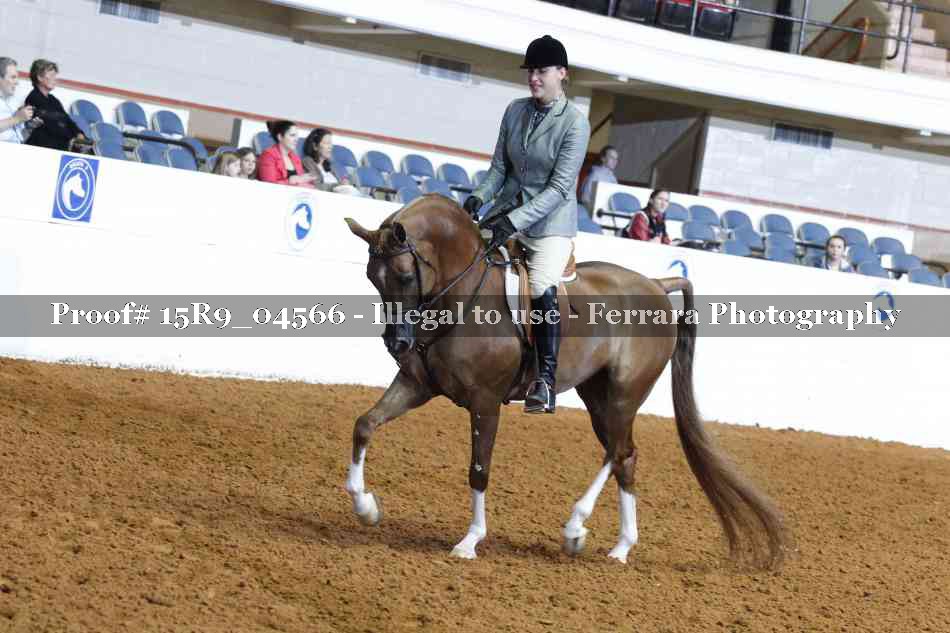 Proof 15R9_04566