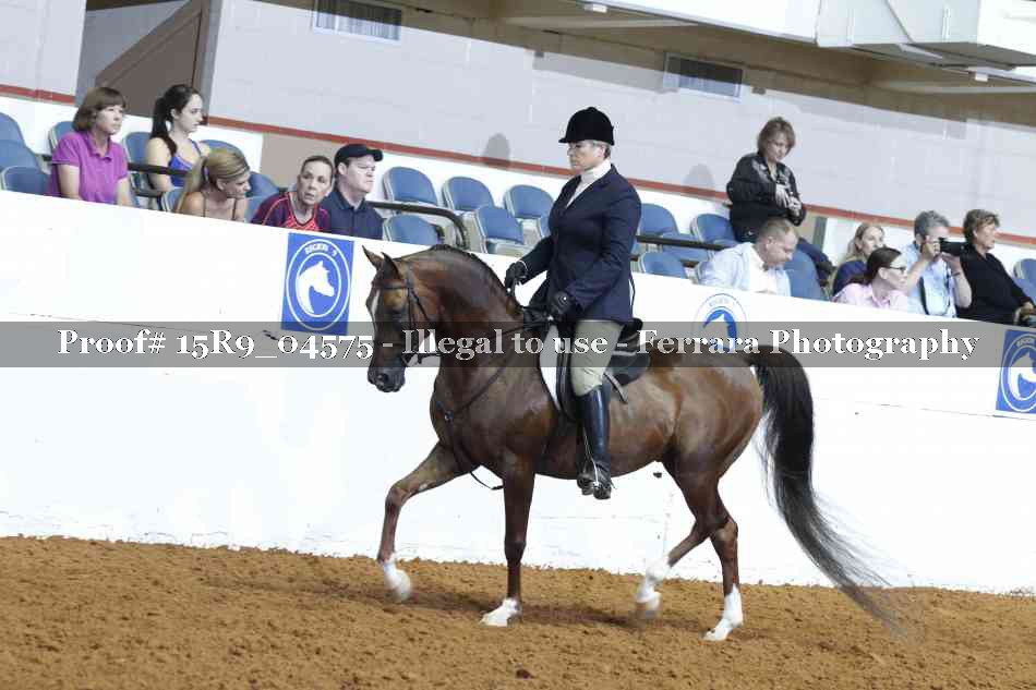 Proof 15R9_04575