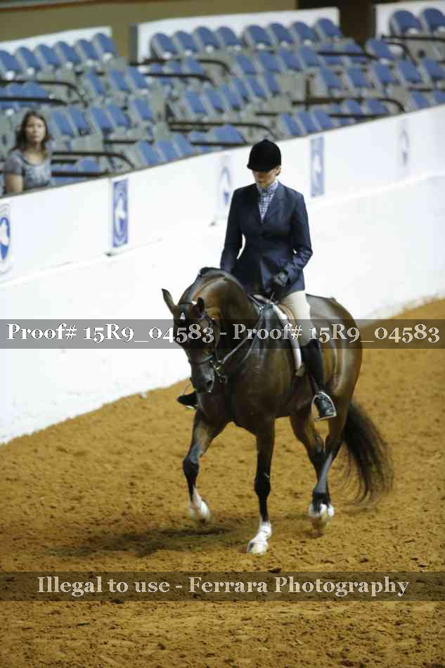 Proof 15R9_04583